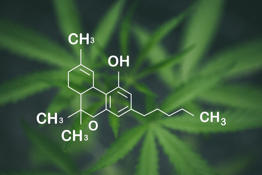 THCA Flower vs Marijuana: Understanding the Effects and Key Differences